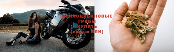 jwh Новокубанск