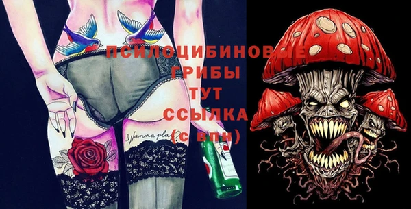 дмт Нефтегорск