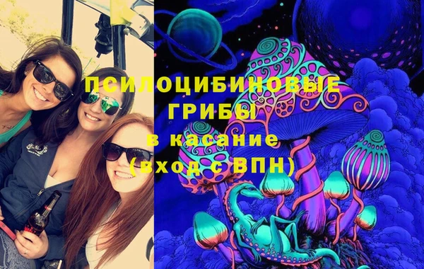 mdpv Новозыбков