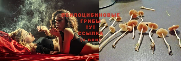 мяу мяу кристалл Новодвинск